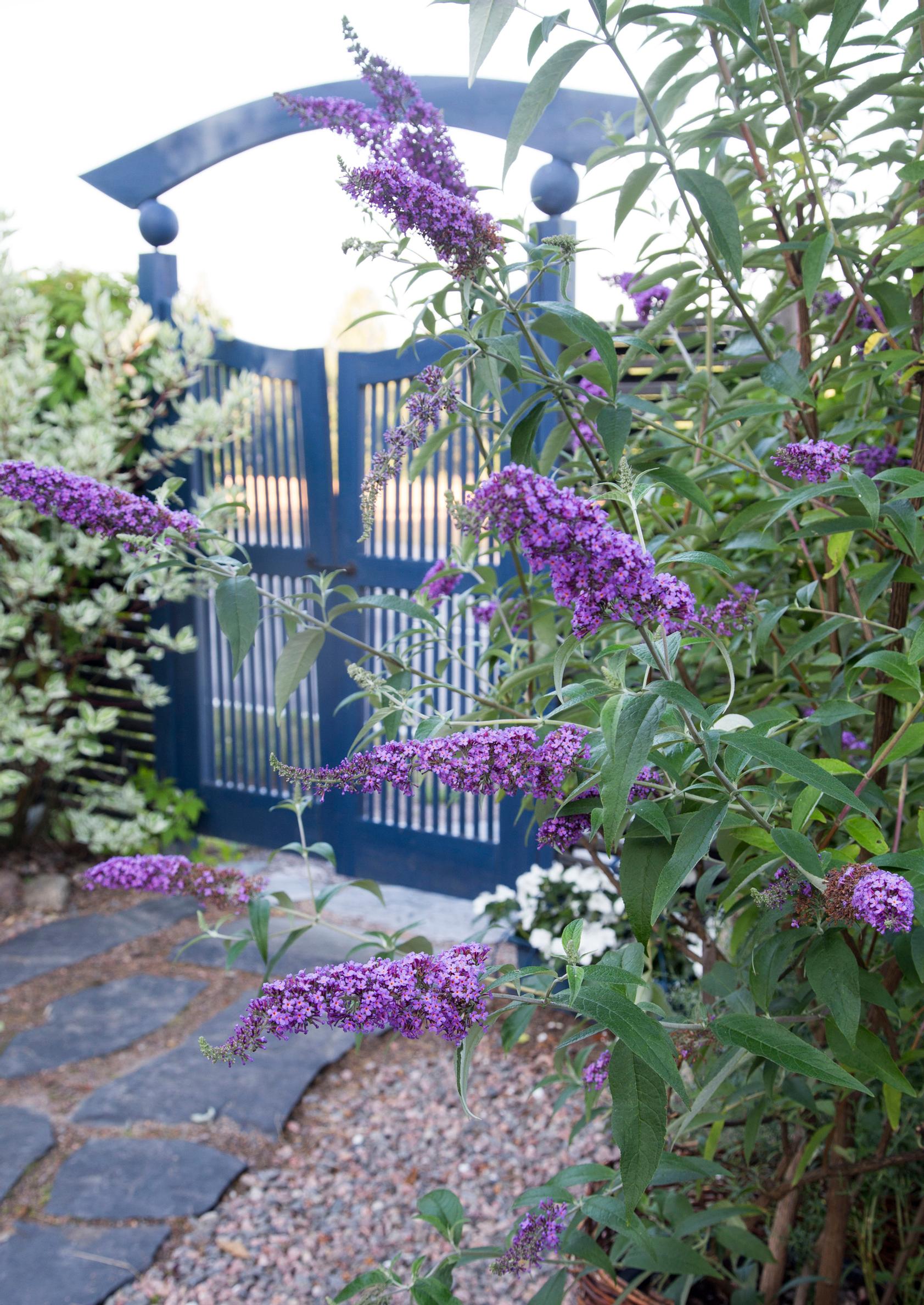 garden gate ideas
