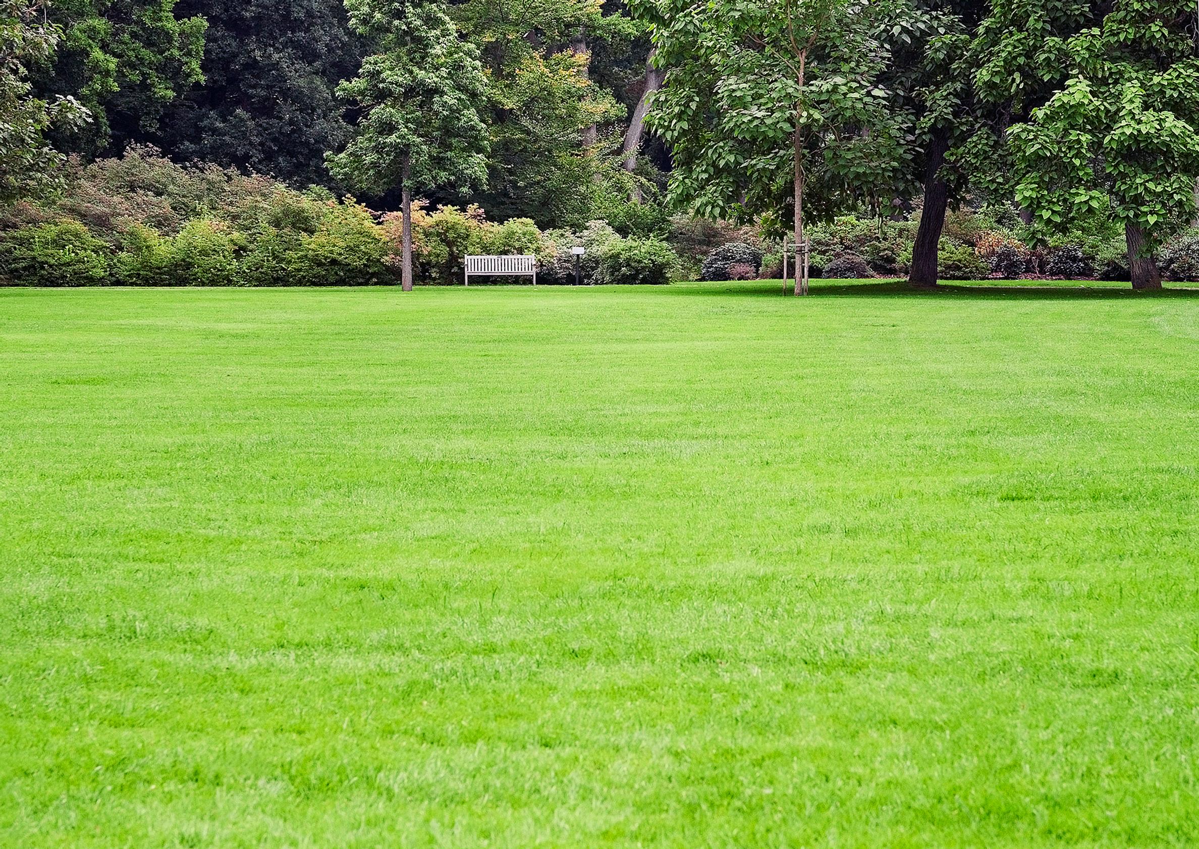 Lawn care—if you’re dreaming of a lush lawn, check out these tips!