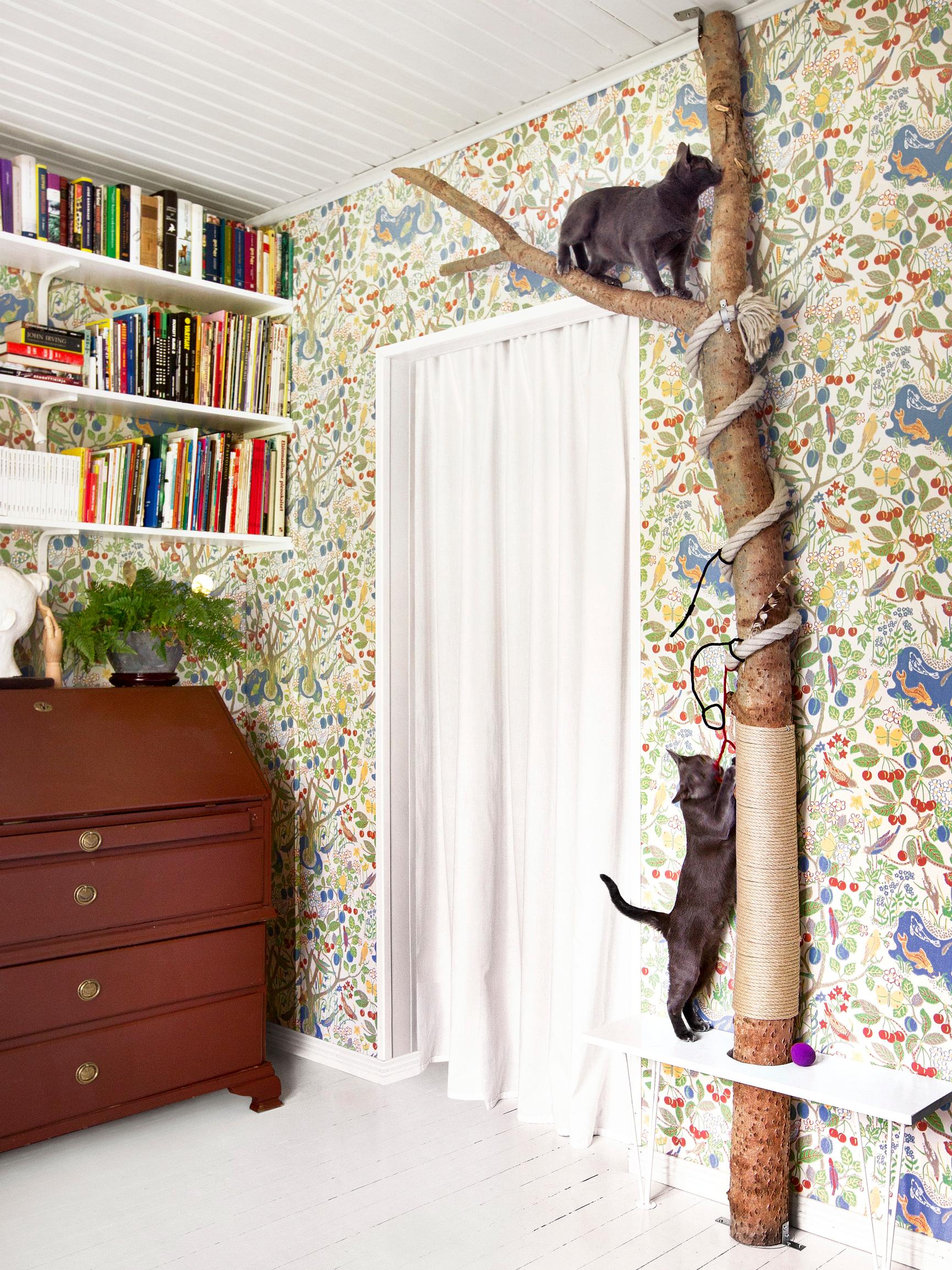 DIY cat climbing tree