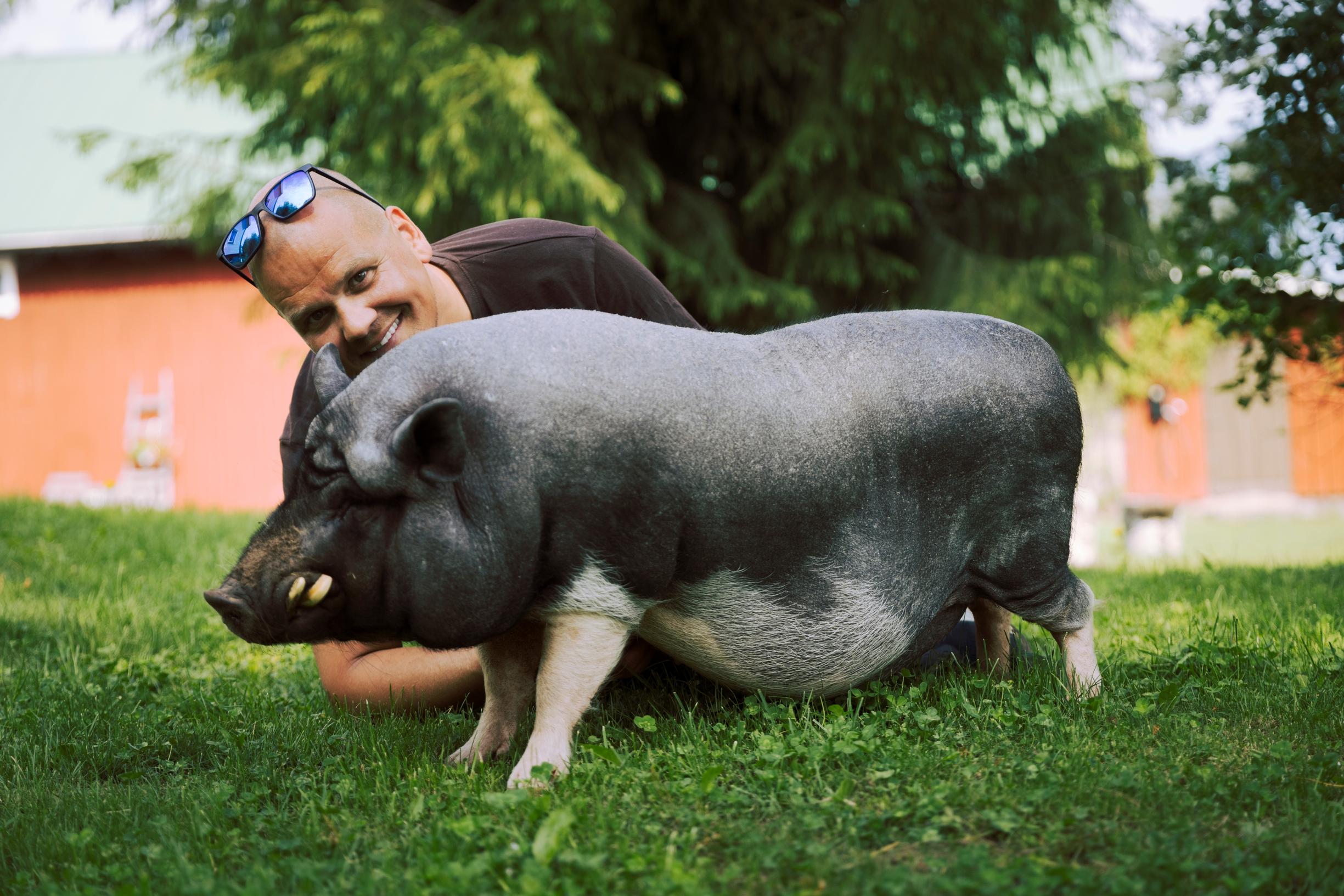 man and mini pig on the lawn