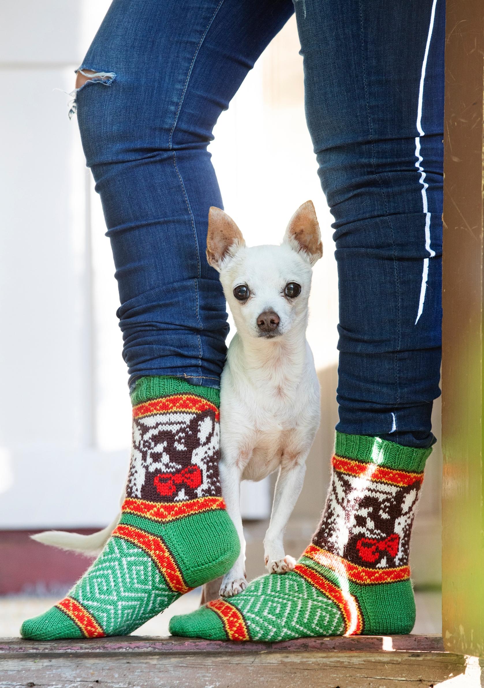 Lumi Karmitsa’s dog Kaaleppi and the Amigot colorwork socks