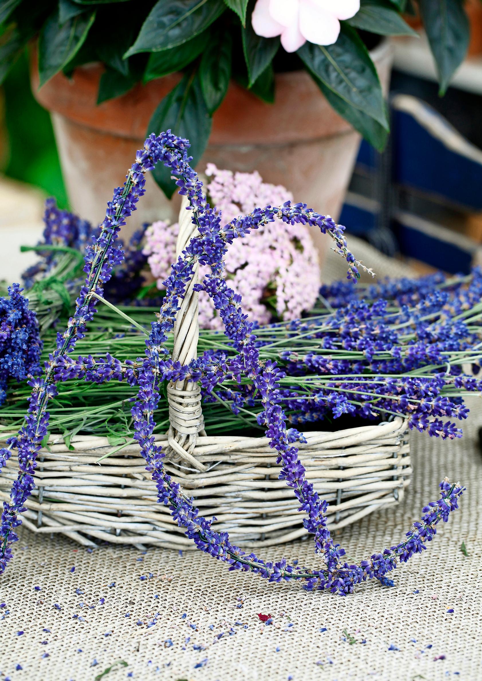 Ways to use lavender