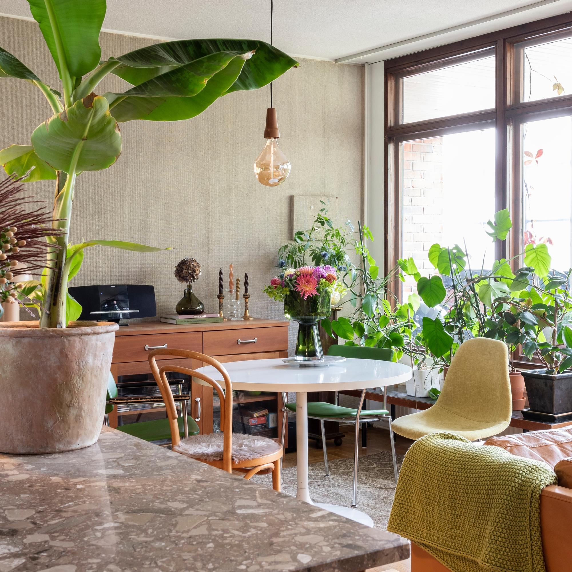 Looking for a dining table for a small space? These tips will help you choose the perfect one!