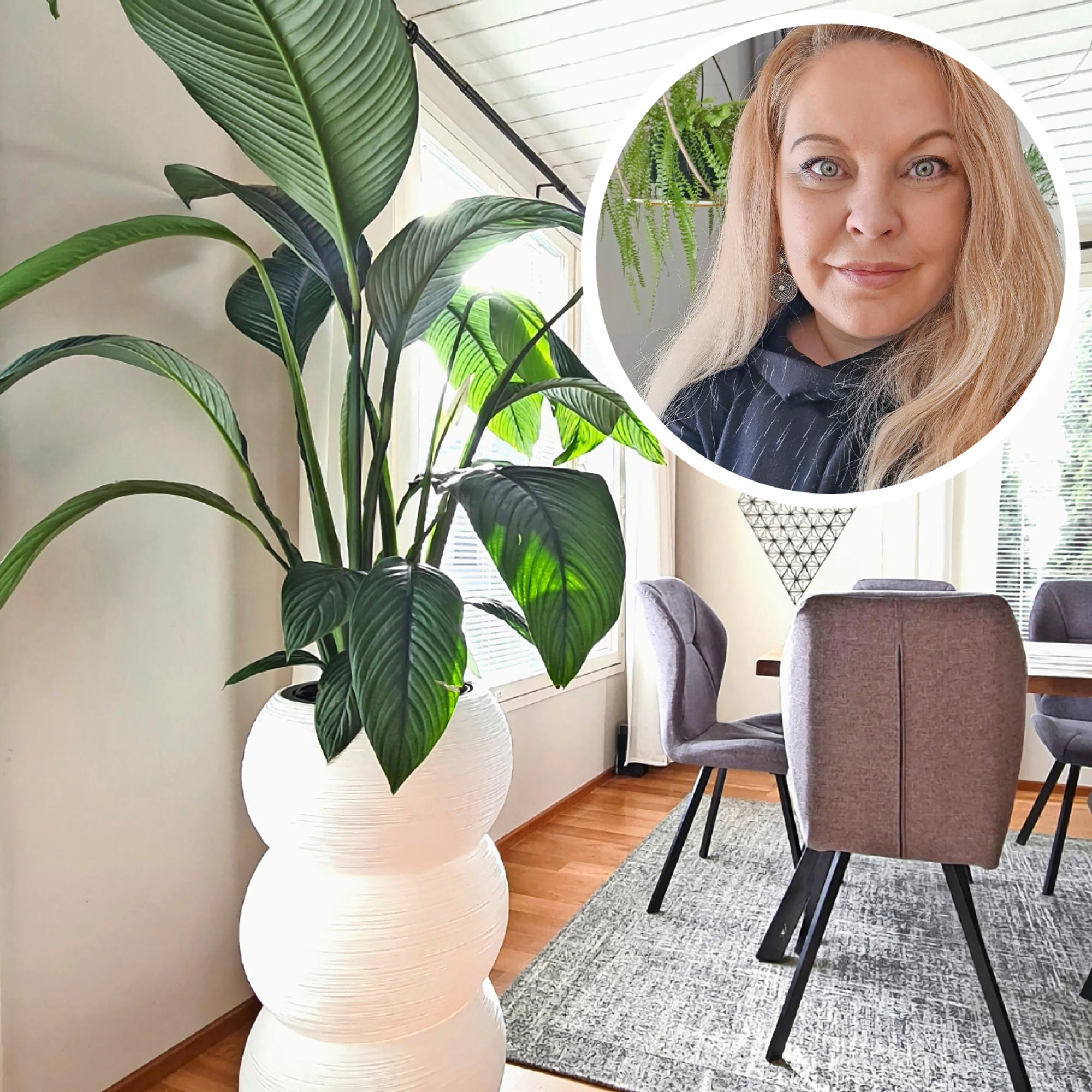 “I make giant planters from leftover materials” – Marika crafts stylish DIY planters for large houseplants using buckets and mortar