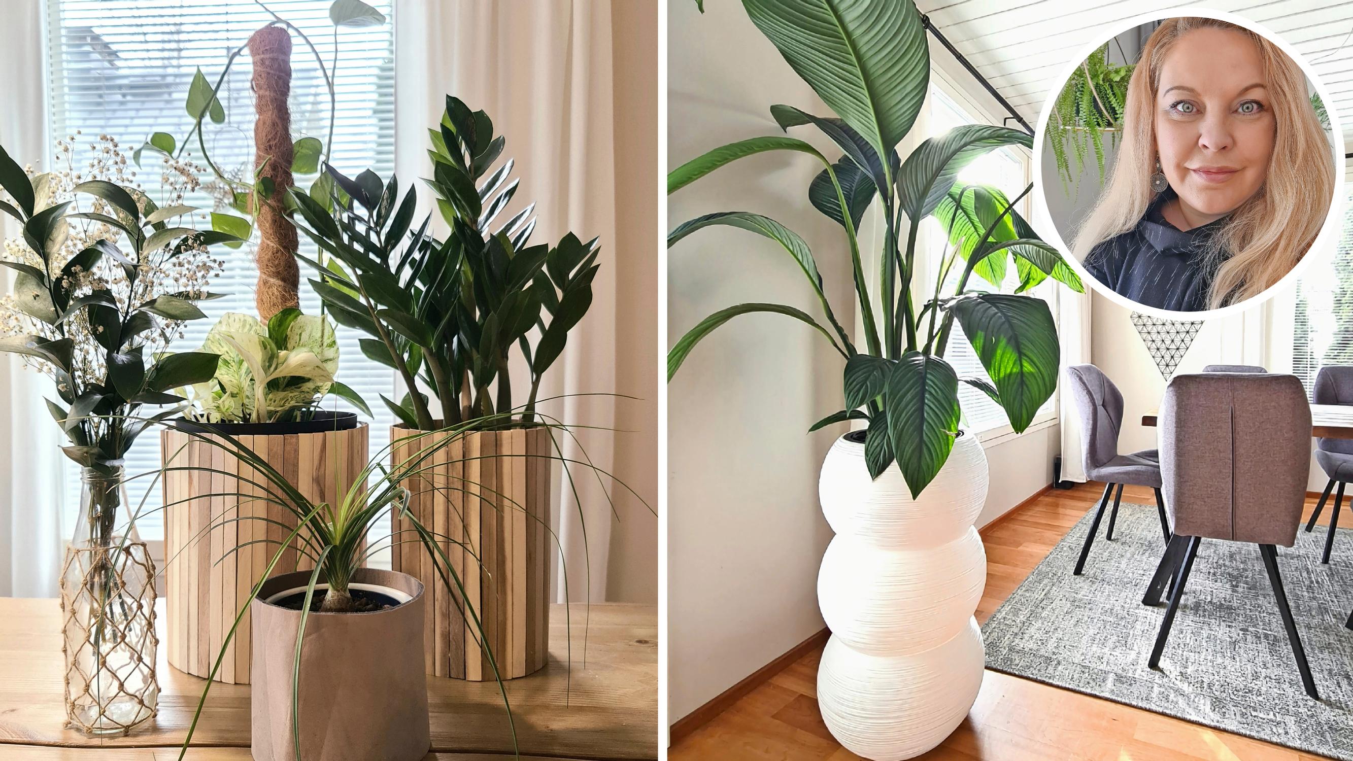 “I make giant planters from leftover materials” – Marika crafts stylish DIY planters for large houseplants using buckets and mortar