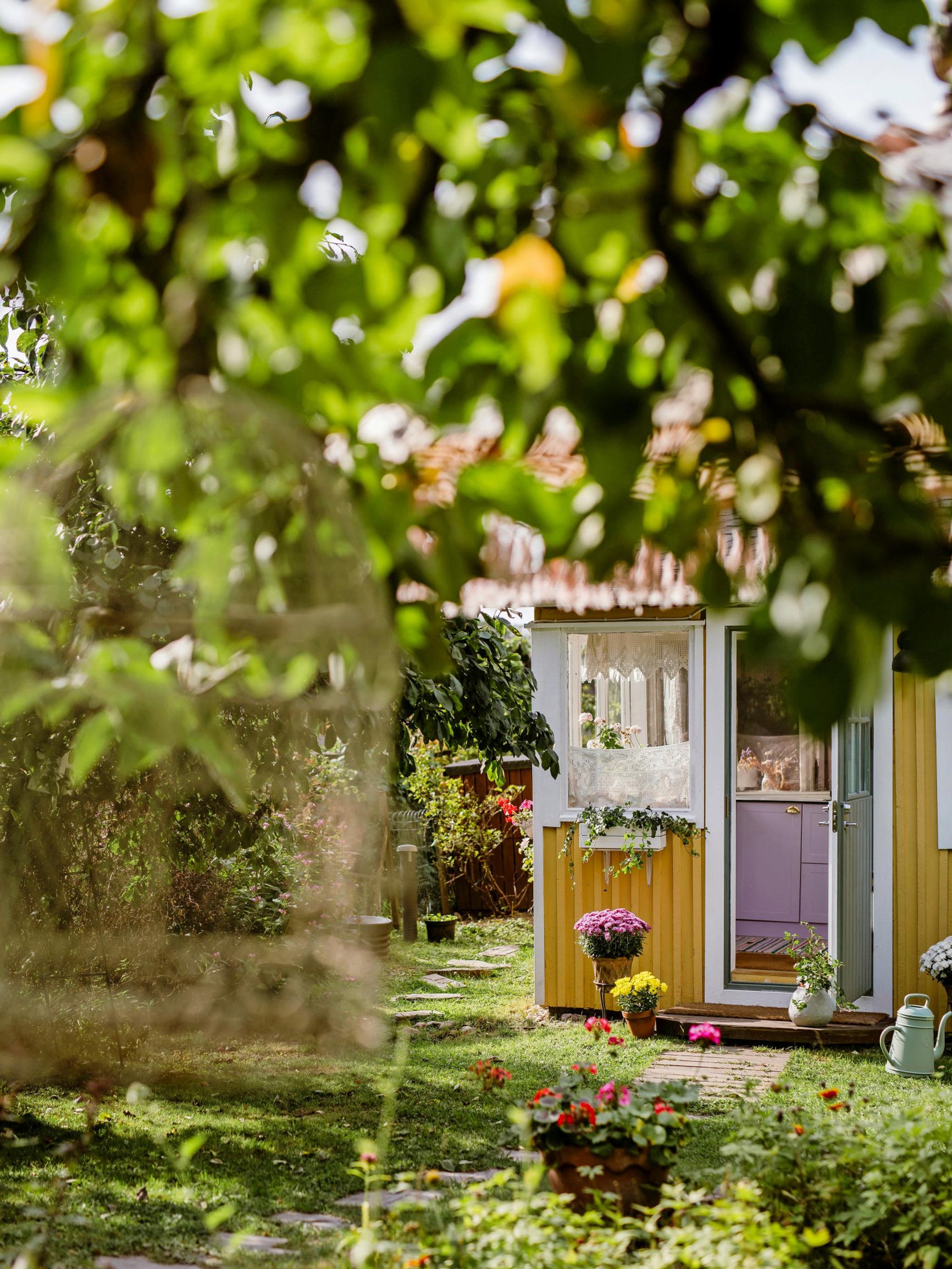 Inside Jessica’s enchanting allotment garden cottage with a lilac kitchen: “My style here is softer than at home”