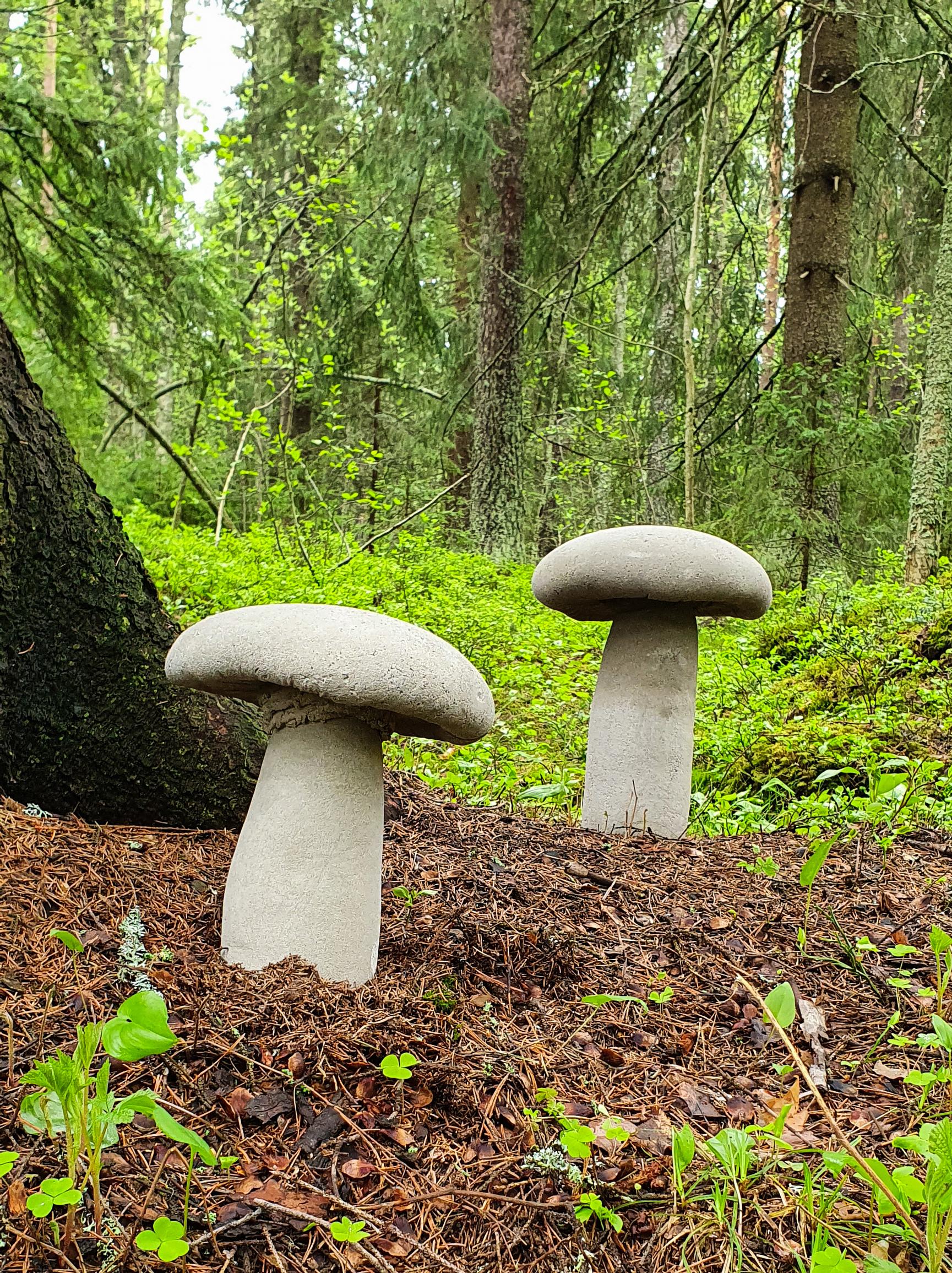 Concrete mushrooms in a forest