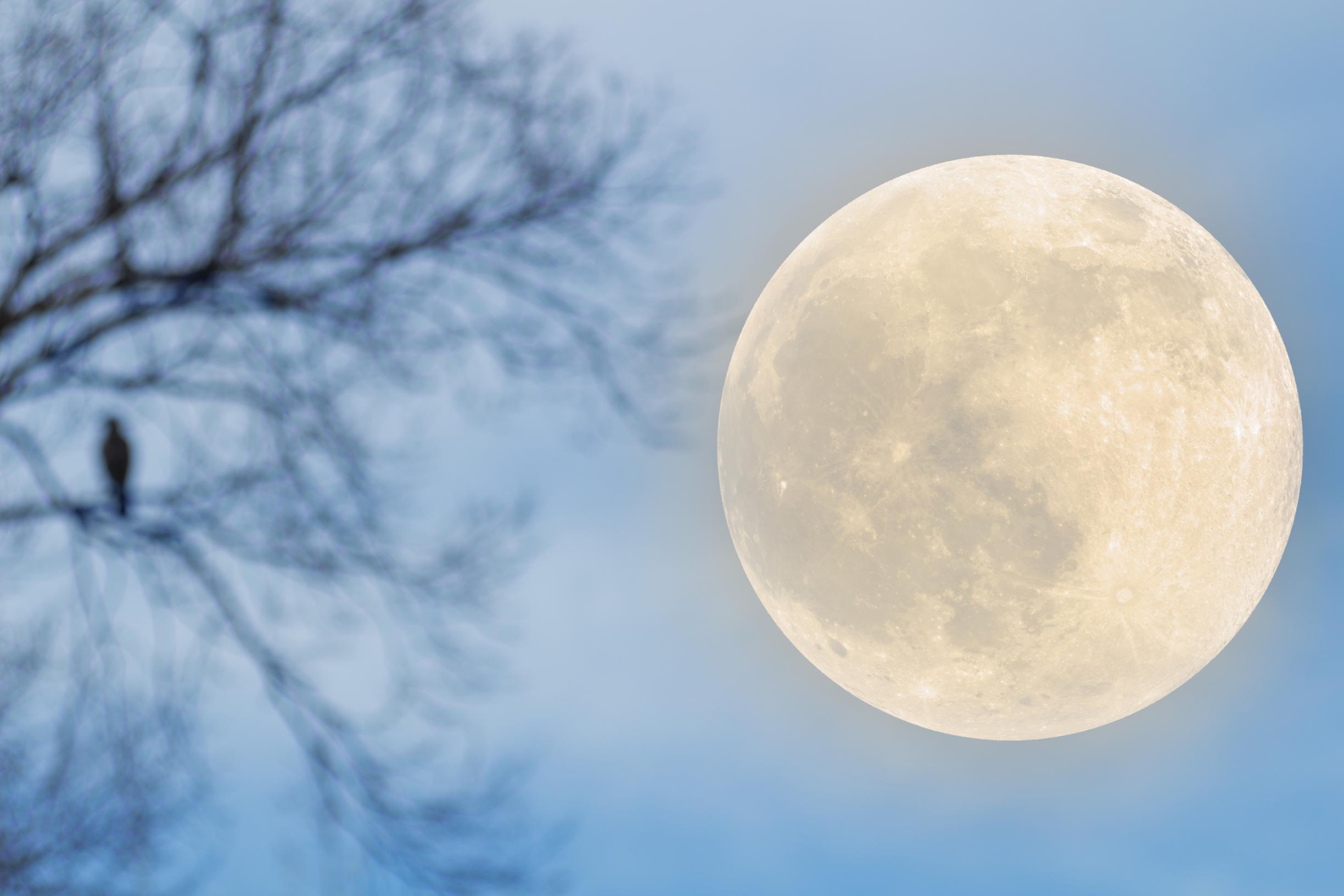 Full moon in the sky