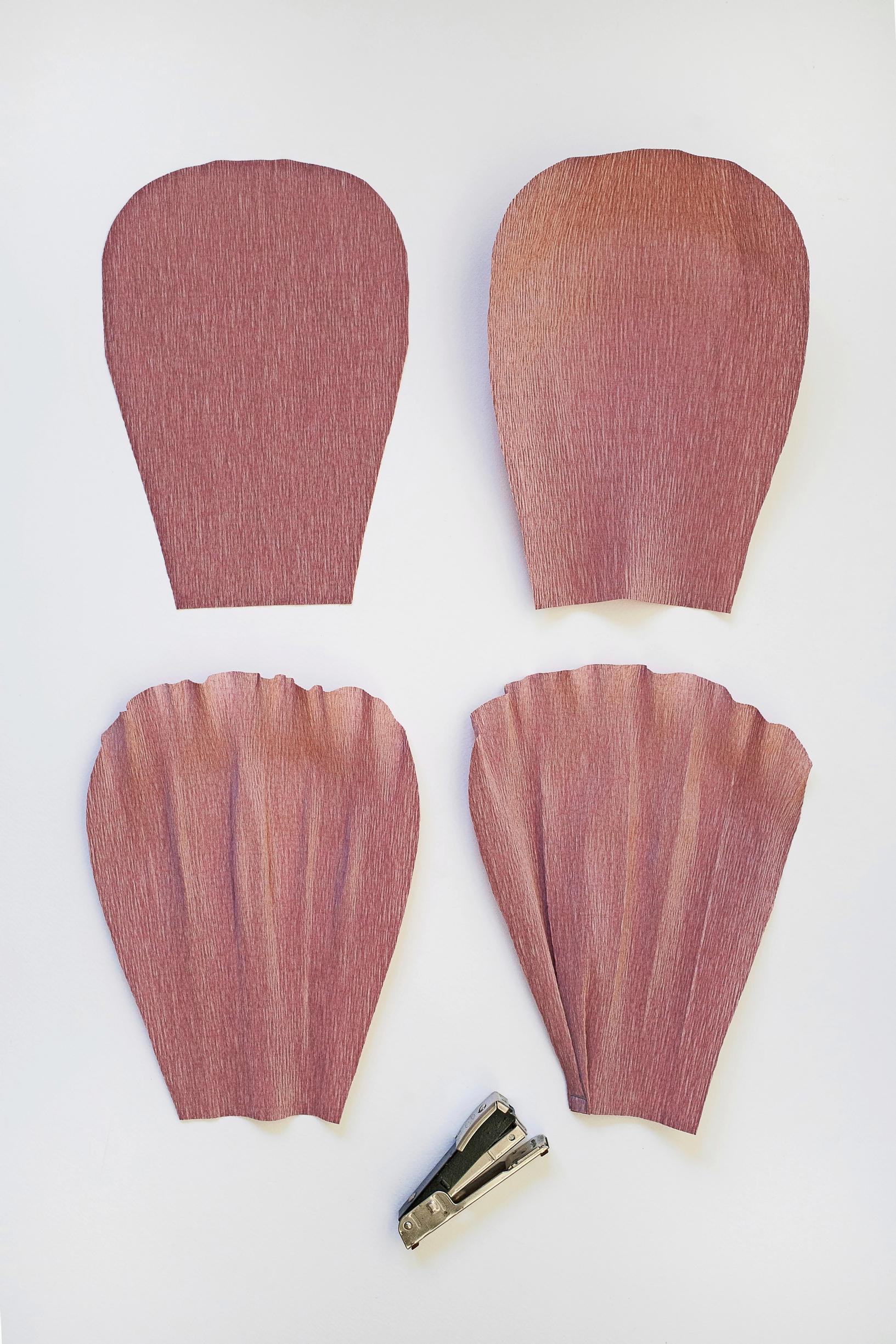 Image of craft supplies for the paper flower
