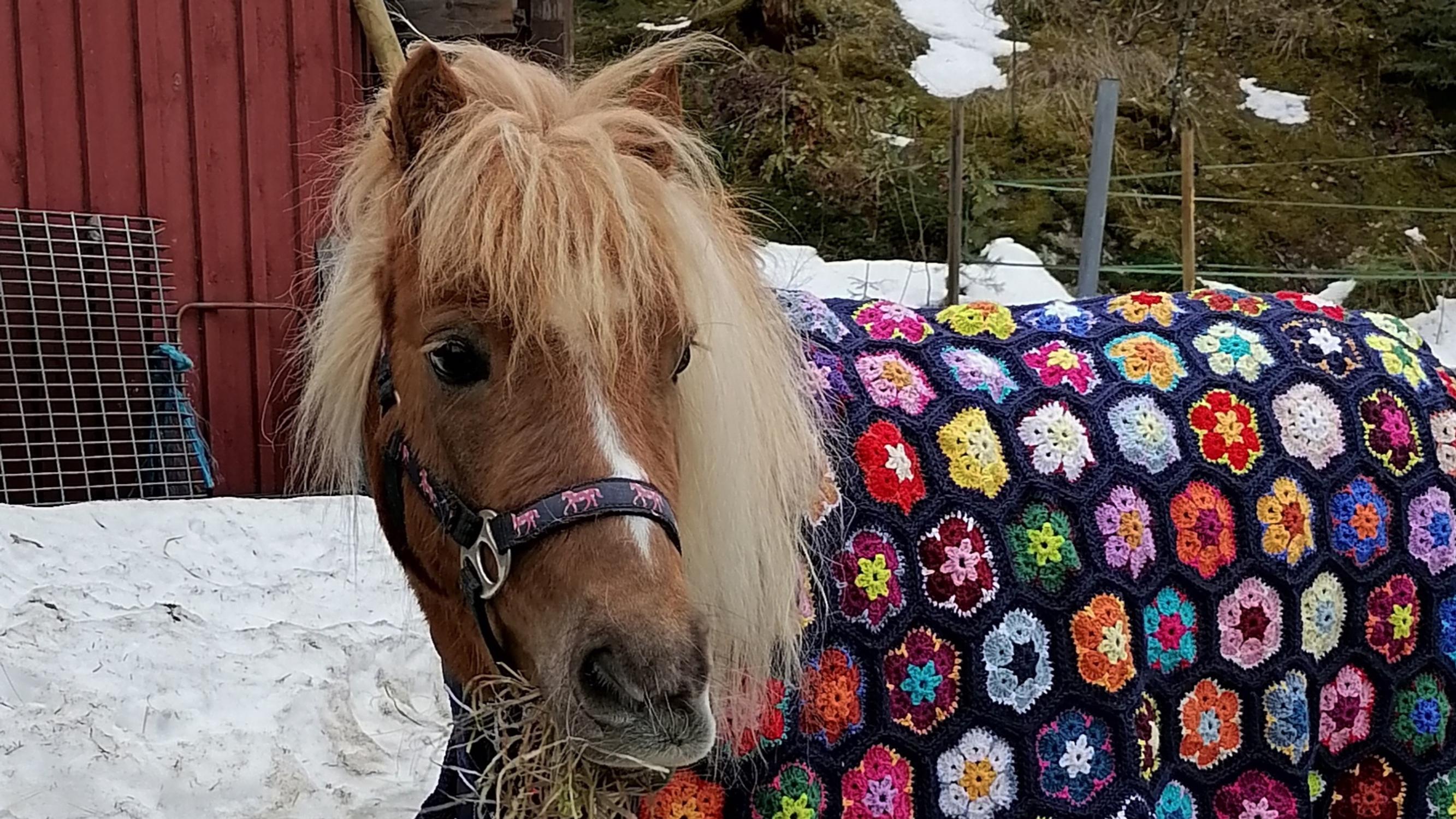 Anu’s floral pony blanket wows after a decade away from crocheting