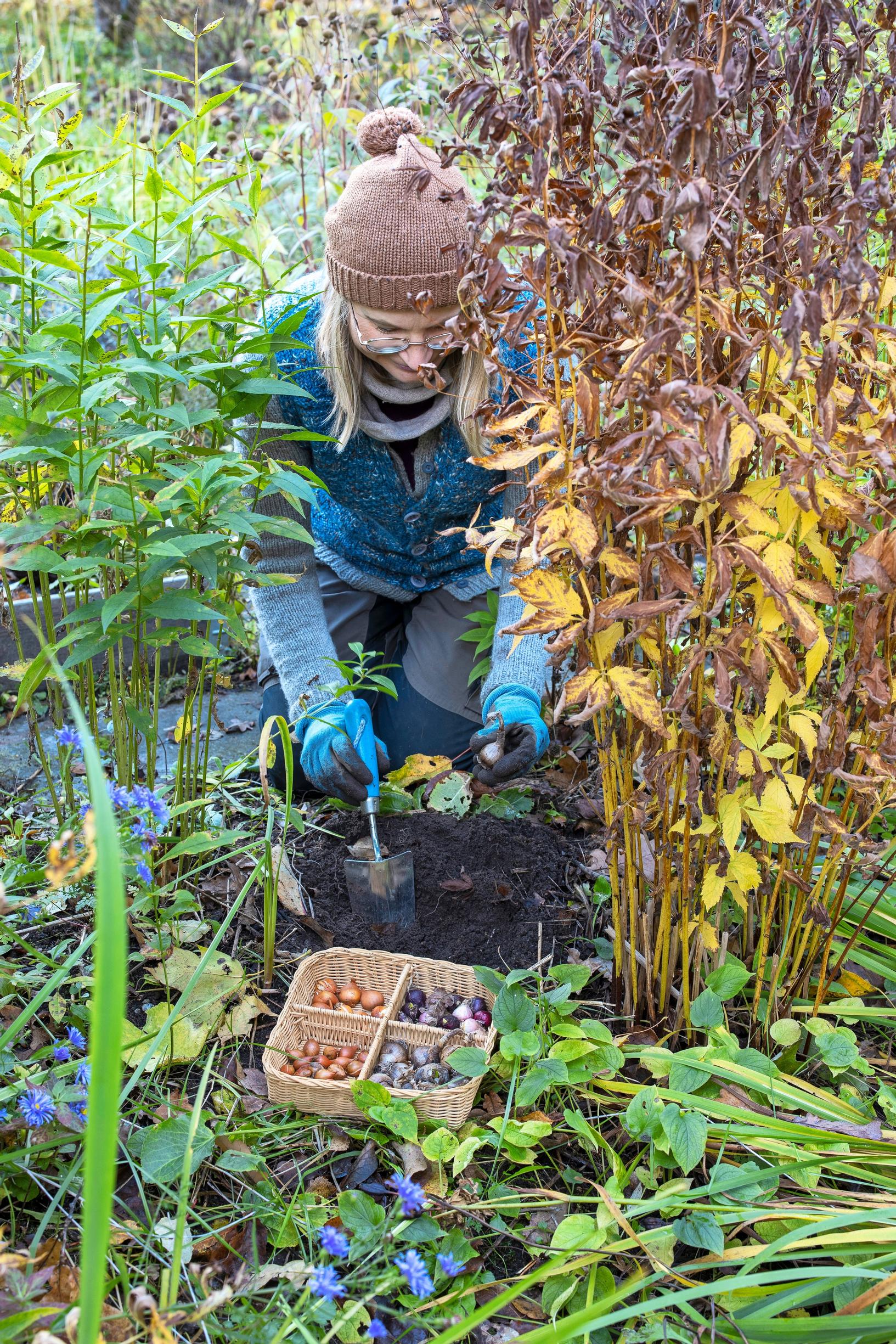 bulb flowers’ growing sites: planting bulbs