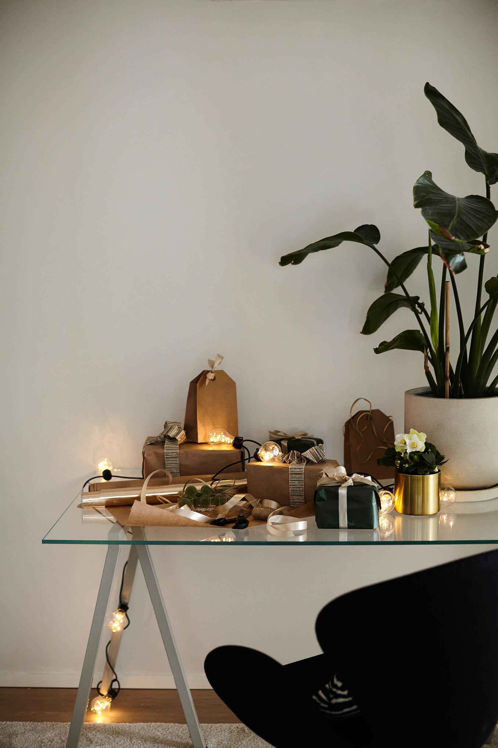 a string of Christmas lights on the table among objects, a houseplant