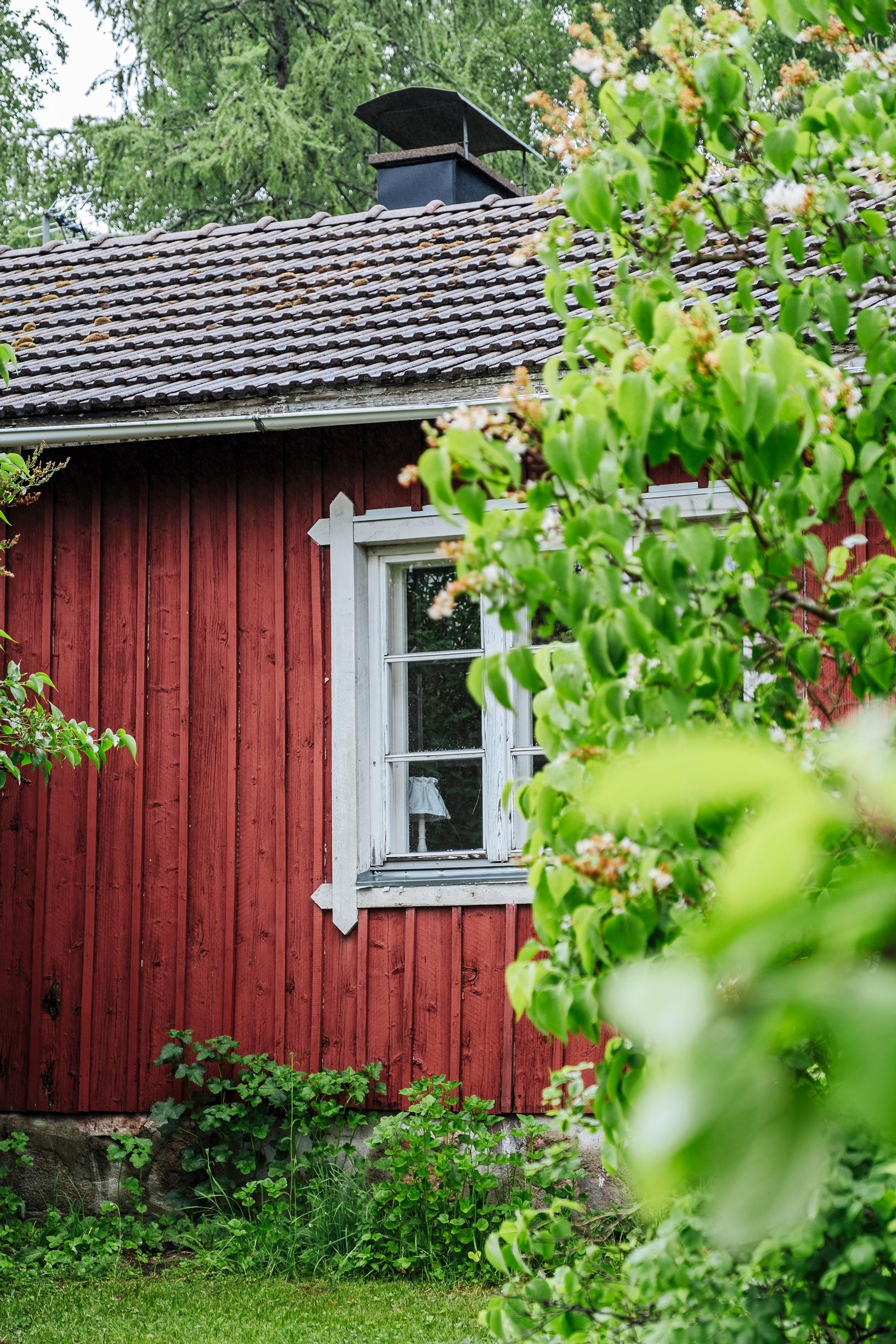 an old red wooden house with white window frames and lilacs
