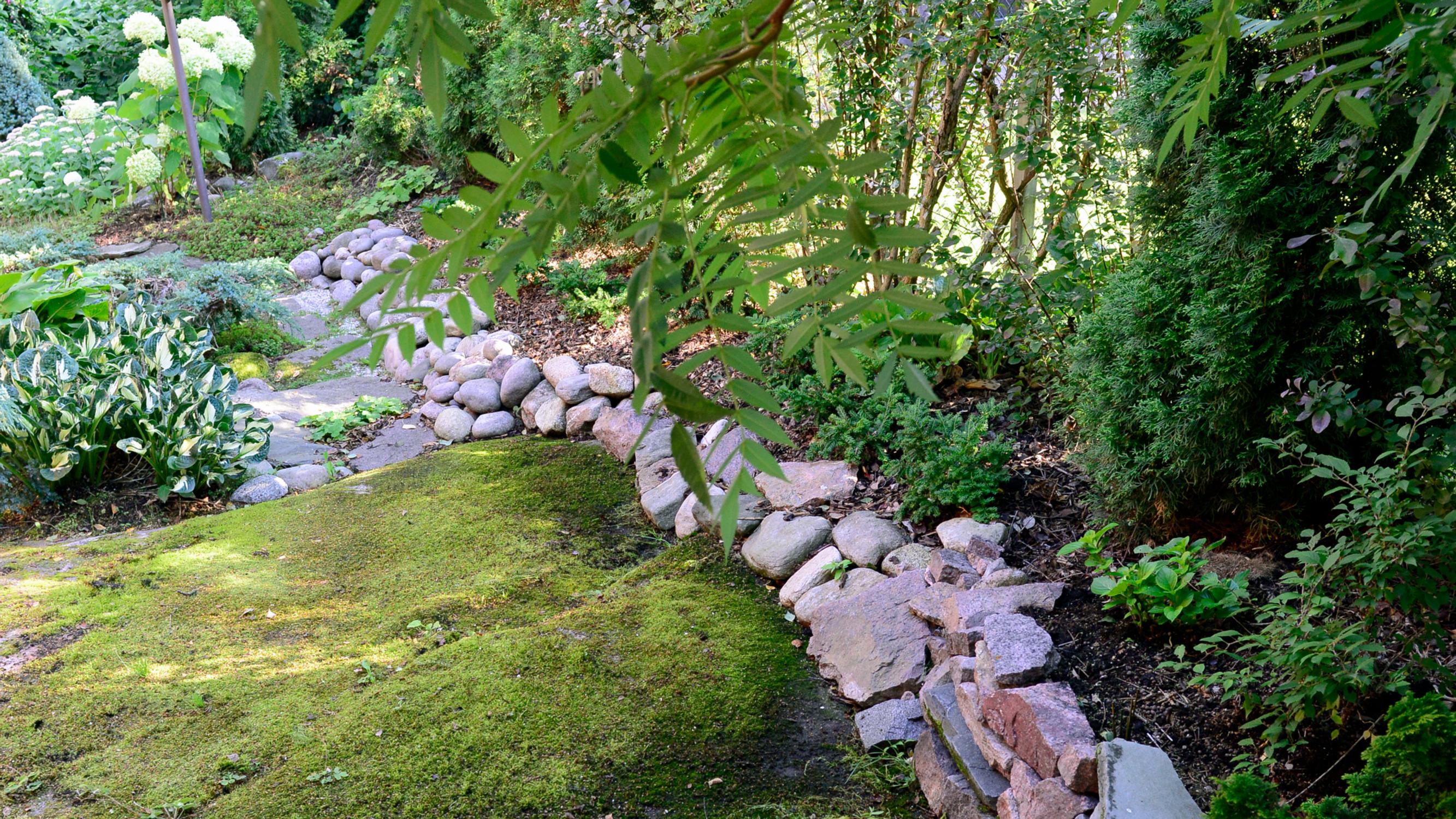 Don’t remove it—cherish it! Moss is a garden treasure: 16 scenes to inspire you