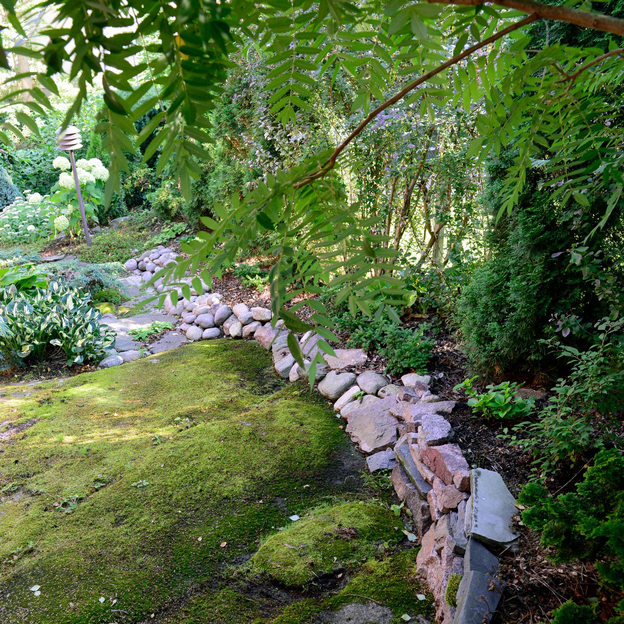 Don’t remove it—cherish it! Moss is a garden treasure: 16 scenes to inspire you