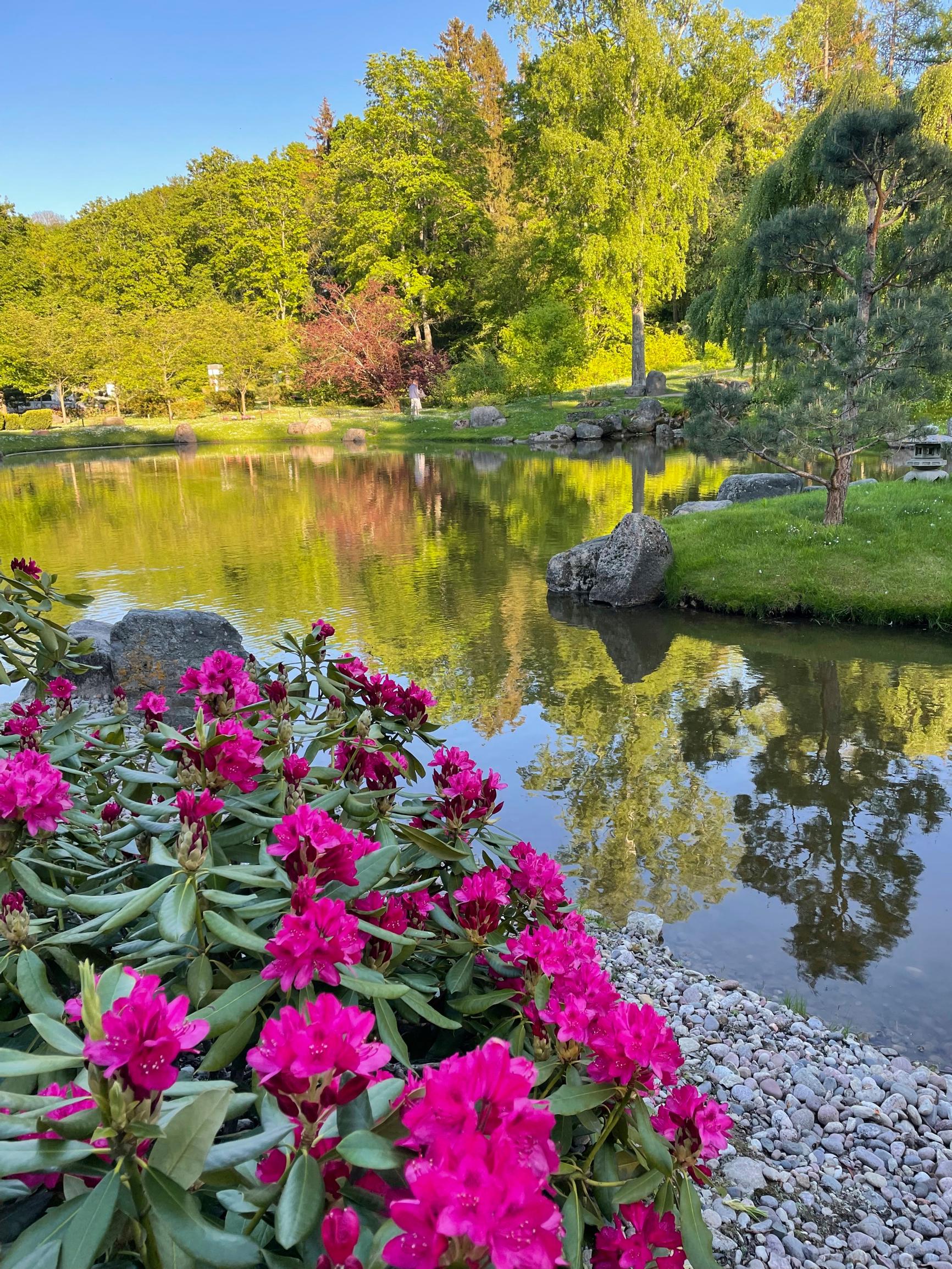 Kadriorg Japanese Garden