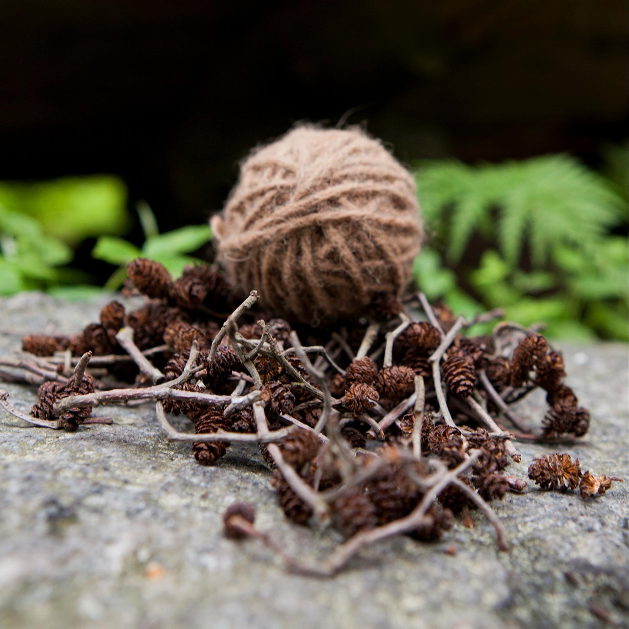 Yarn dyed with alder cones