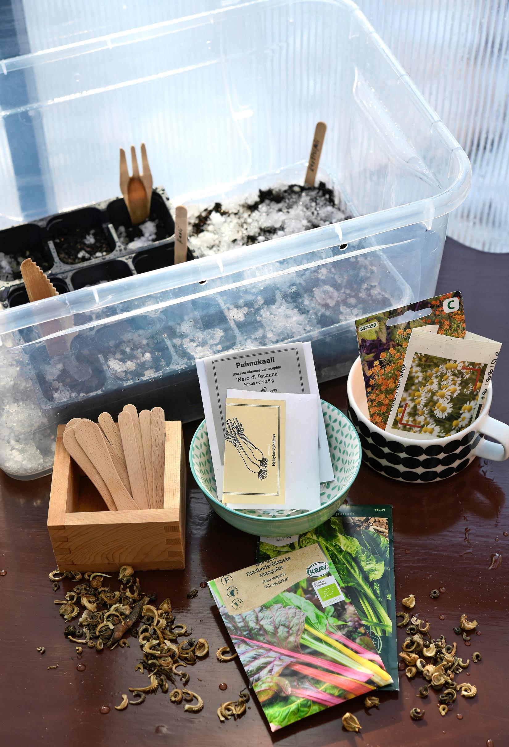 Seeds for winter sowing.