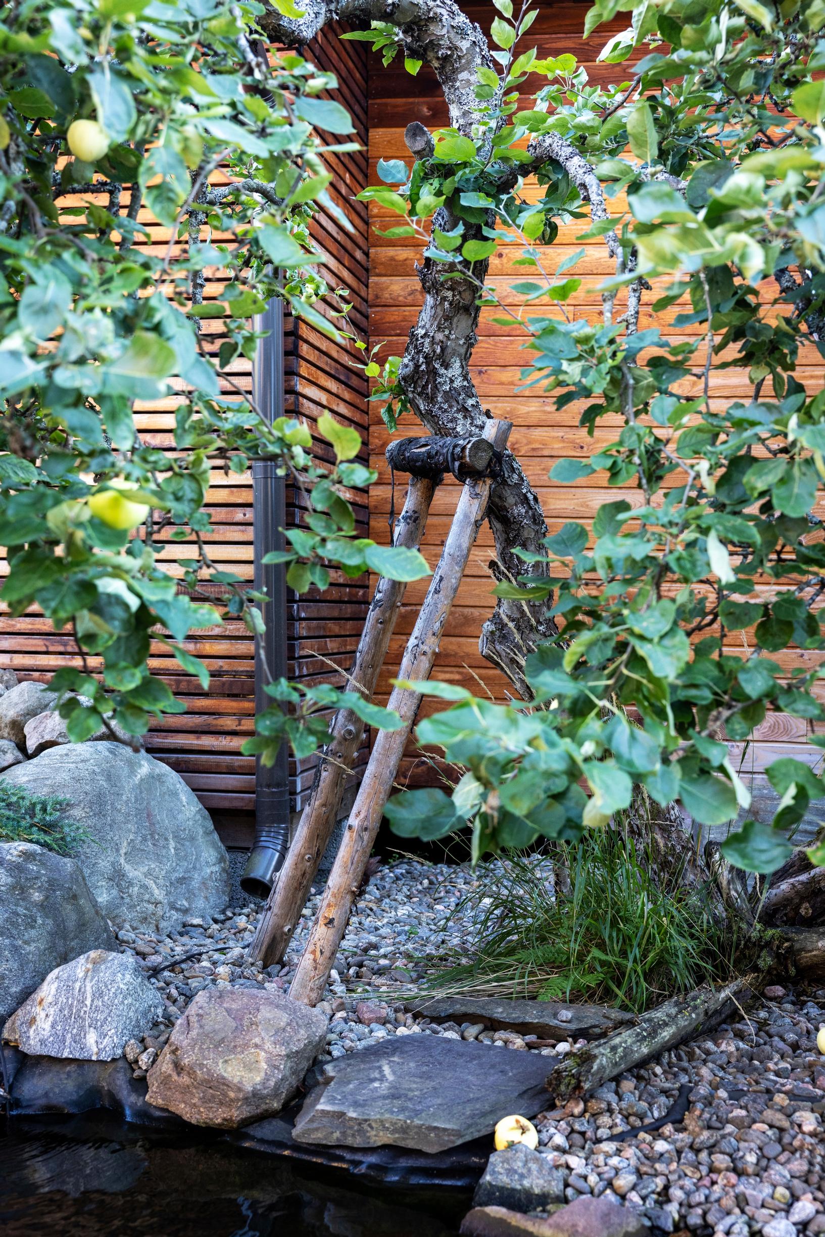 The old apple tree has been given a support that suits the style.
