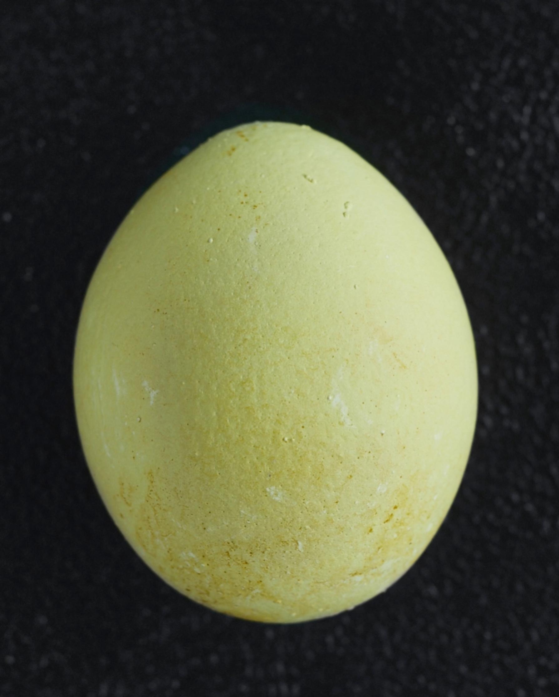 Egg dyed with curry powder