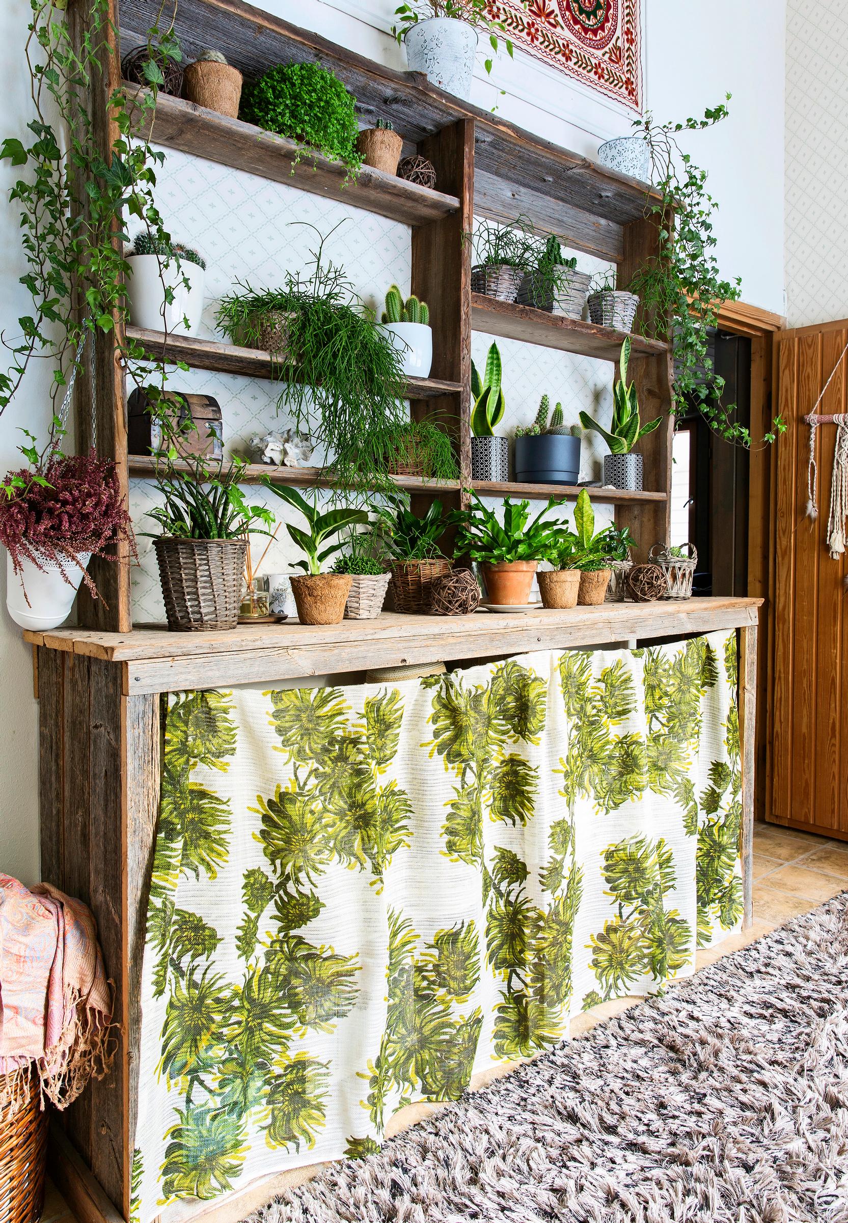 houseplants decor