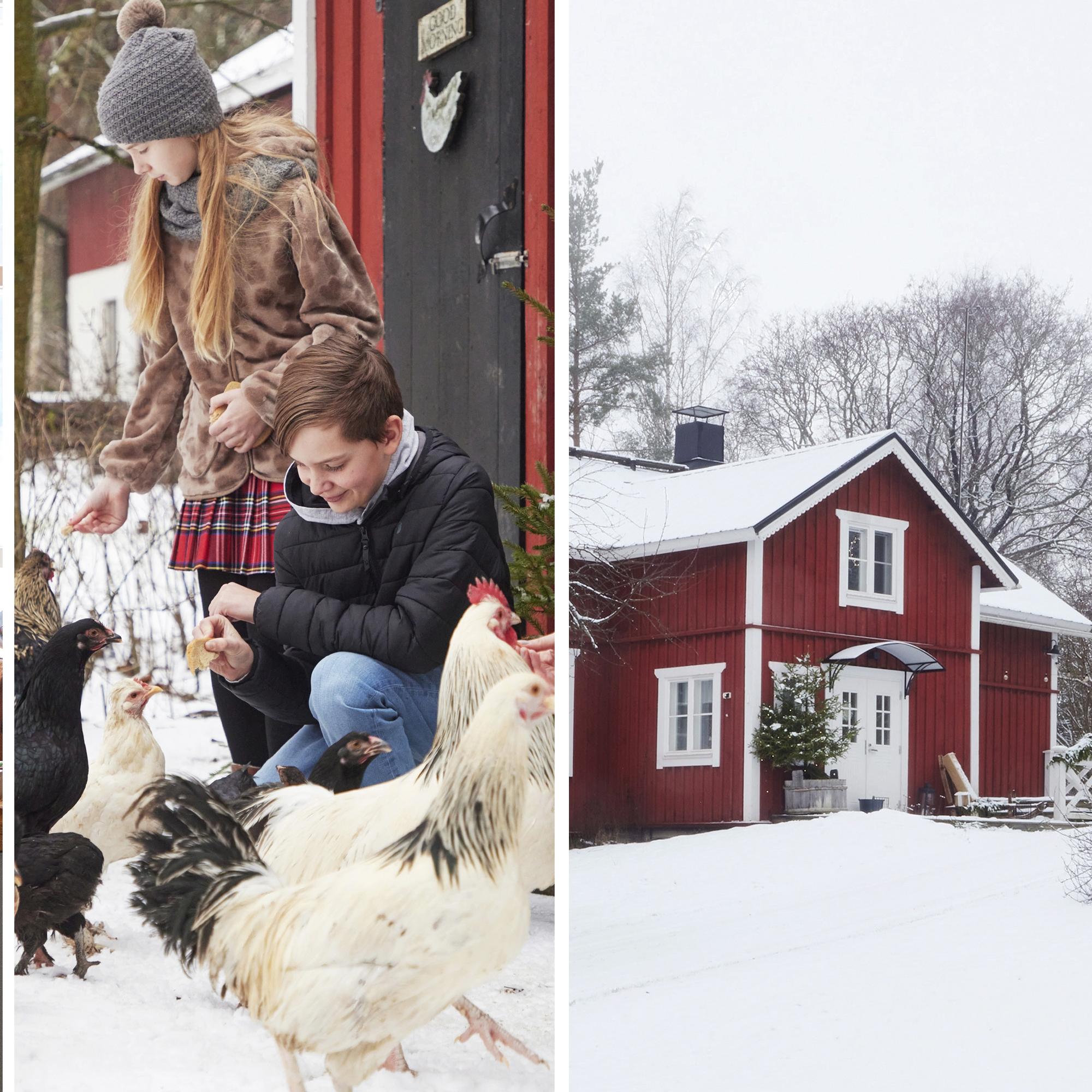 Fanni’s 19th-century log house—“I don’t stress over it, I just focus on what brings joy”