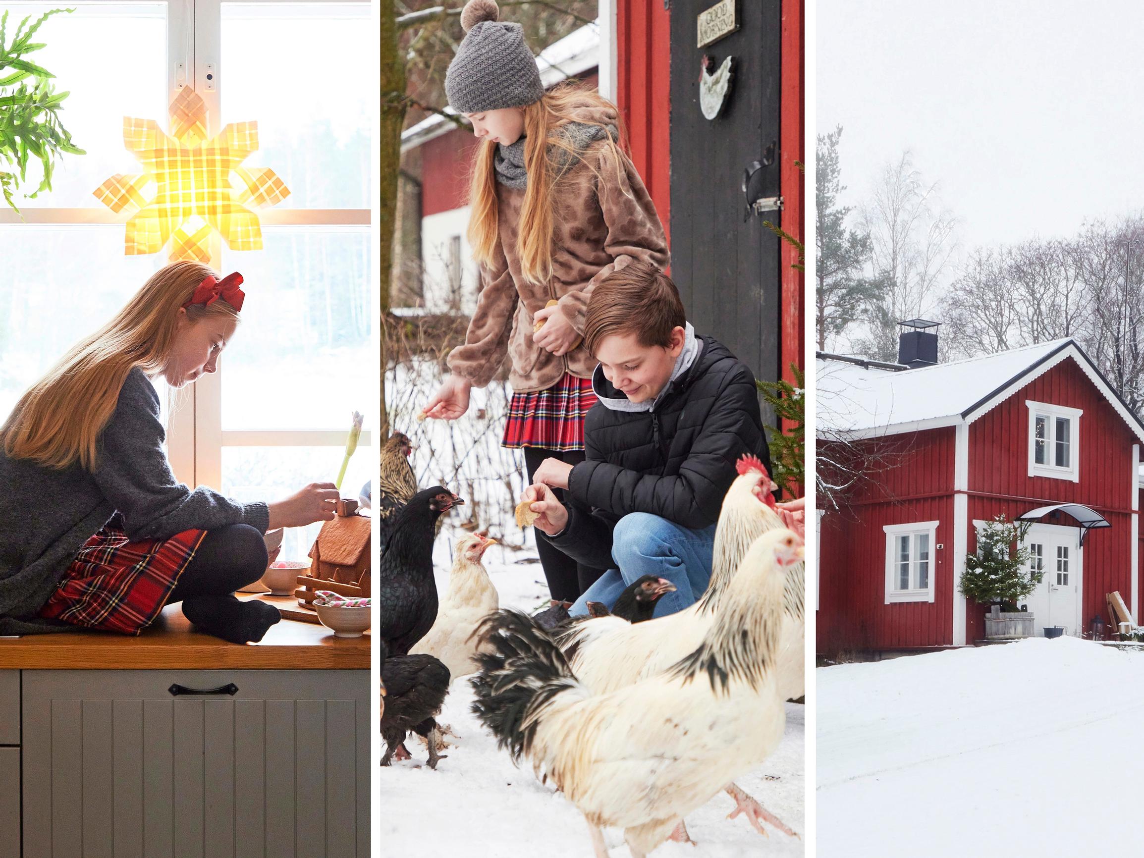 Fanni’s 19th-century log house—“I don’t stress over it, I just focus on what brings joy”