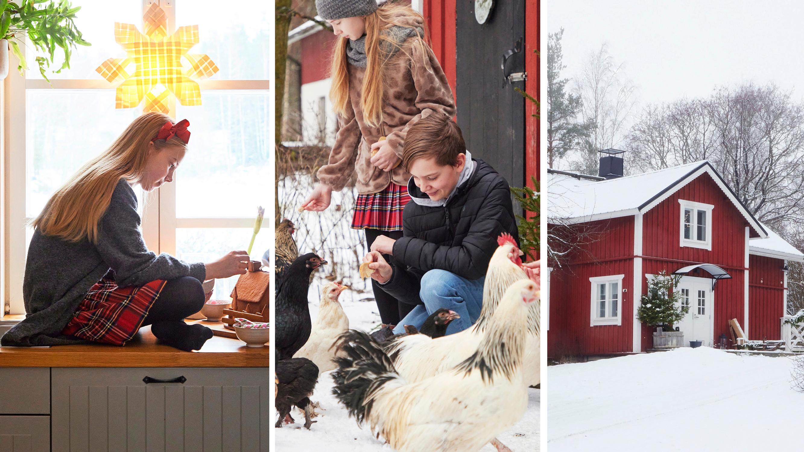 Fanni’s 19th-century log house—“I don’t stress over it, I just focus on what brings joy”