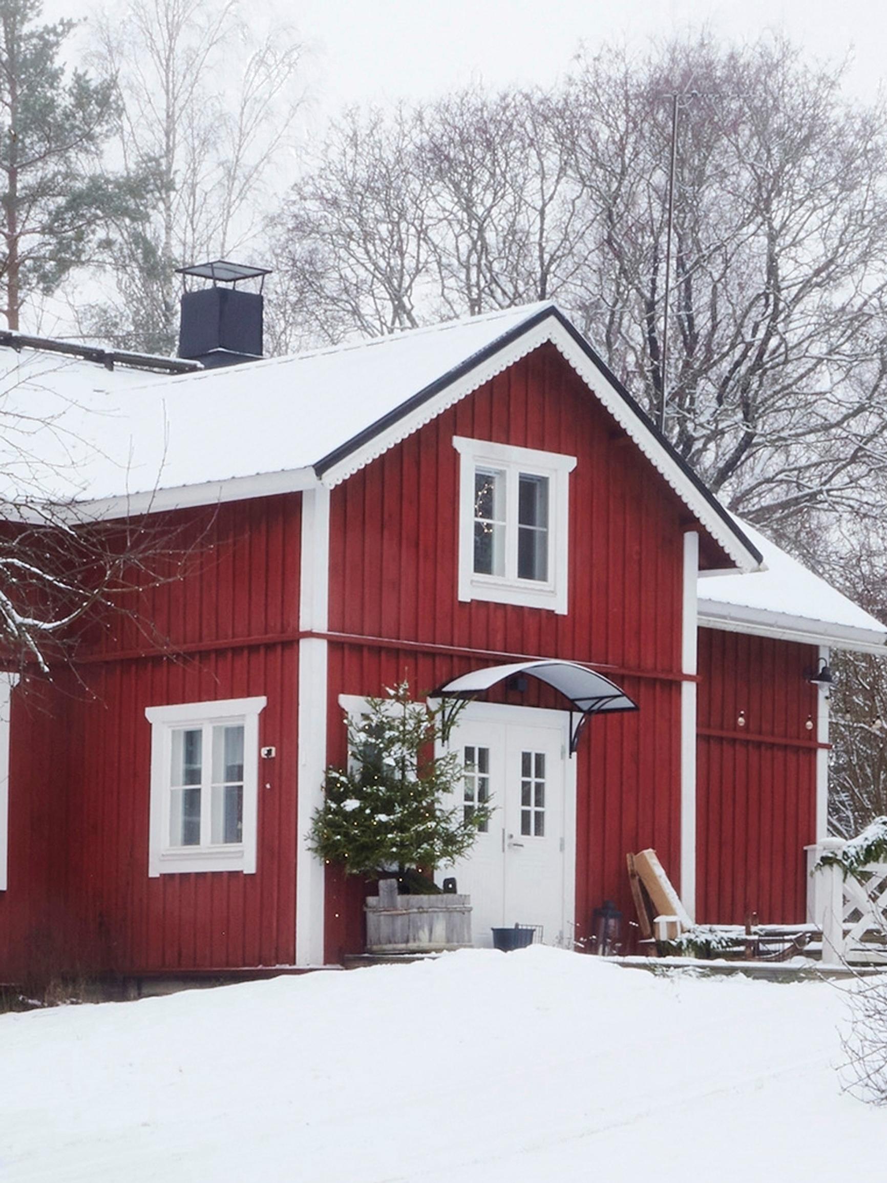 Fanni’s 19th-century log house—“I don’t stress over it, I just focus on what brings joy”