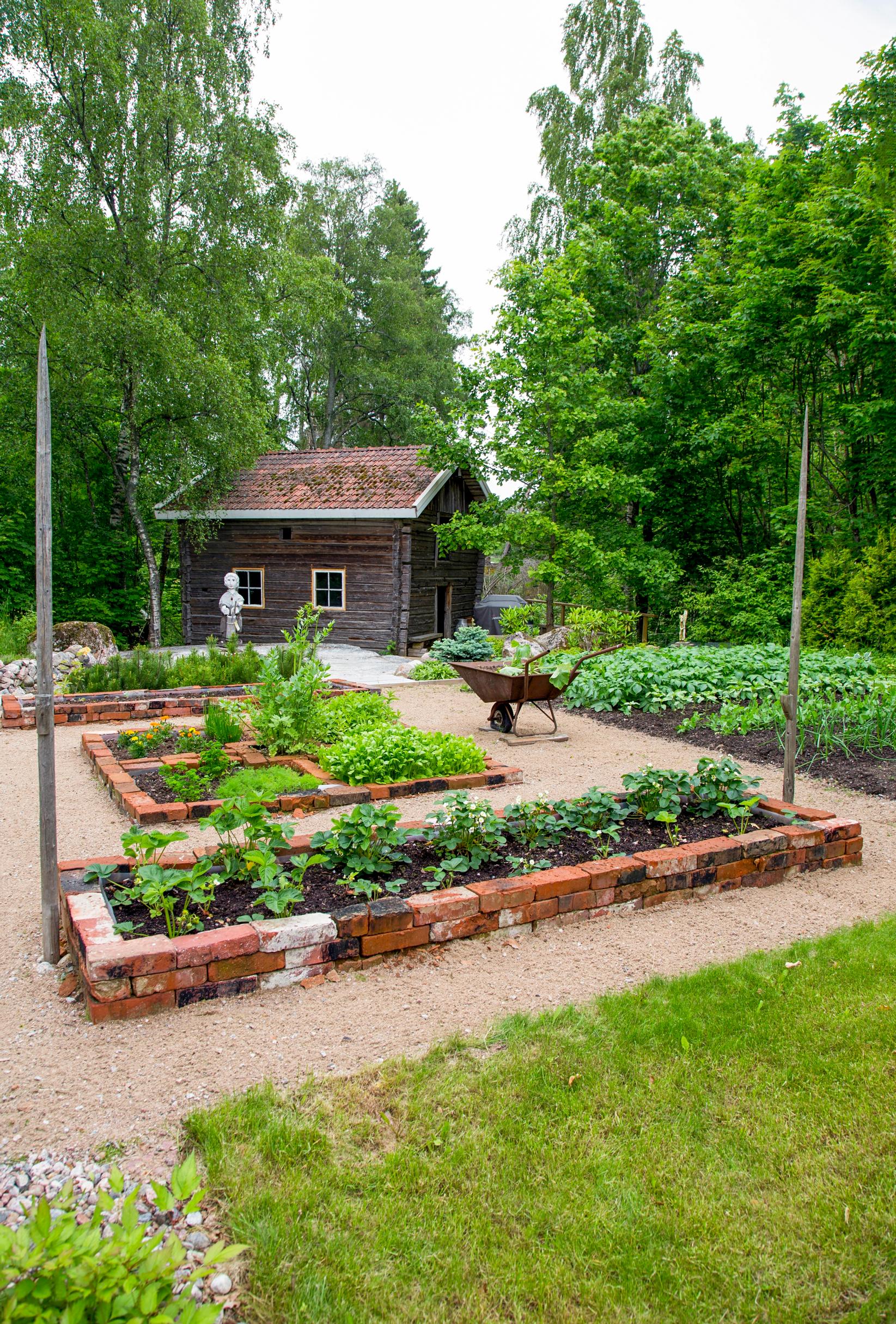 kitchen garden at the cottage: raised beds edged with bricks